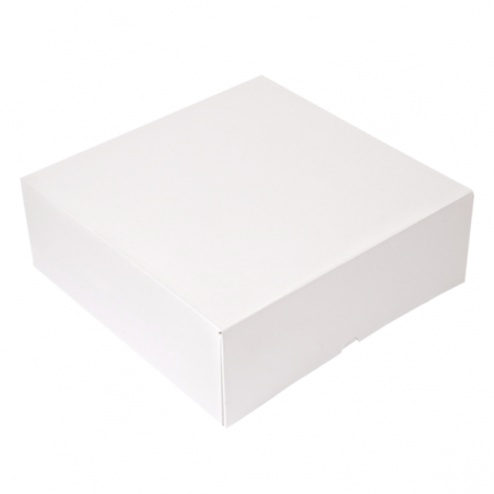 Scatole alimenti cartone bianco nano-micro 32x32x10 cm