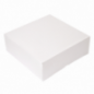 Scatole alimenti cartone bianco nano-micro 32x32x10 cm