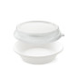 Insalatiera 900 ml in polpa di cellulosa con coperchio in Pet